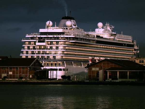 Explore the Enchanting Winter Illuminations and Festive Spirit of the UK's Top Gardens!