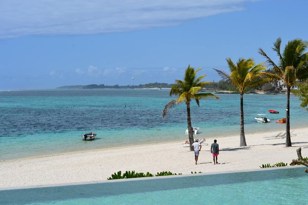 Experience the True Taste of Scotland: Your Ultimate Guide to Traditional Haggis Tasting Events!