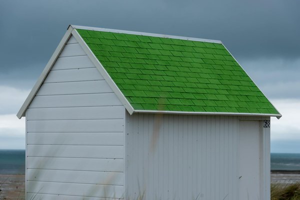 Explore the Enchanting World of Authentic British Cider Brewing Adventures in the Picturesque West Country